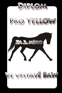 2 msteko