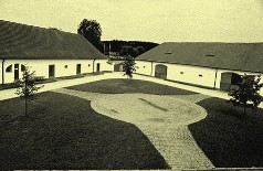 Stj
