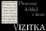 Vizitka
