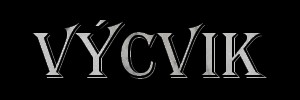 Vcvik