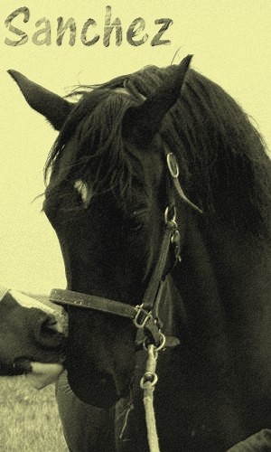 Sanchez